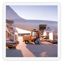 Cargo Services